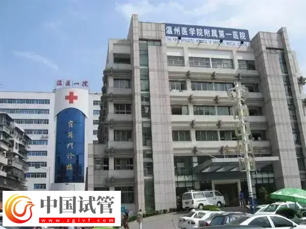 温州附一医试管婴儿成功率多少