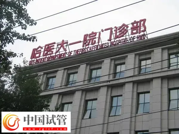 哈尔滨市第一医院供卵试管婴儿多少