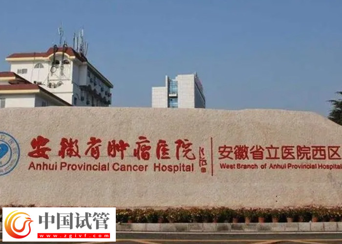 安徽省立医院冻胚时间到了怎么续费