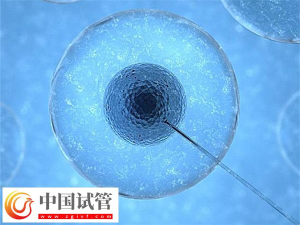 合肥省立医院试管成功率怎么样(图2) 合肥省立医院试管成功率怎么样(图2)