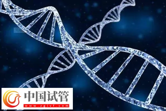 台州医院单身女性怎么生孩子？附单身试管的步骤流程