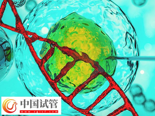 加拿大试管过程(图1)