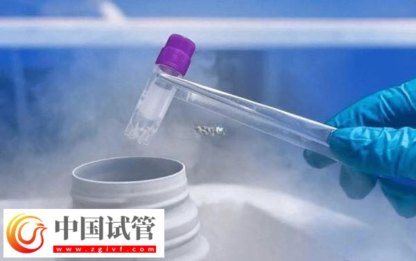 加拿大供卵是否违法(图1)