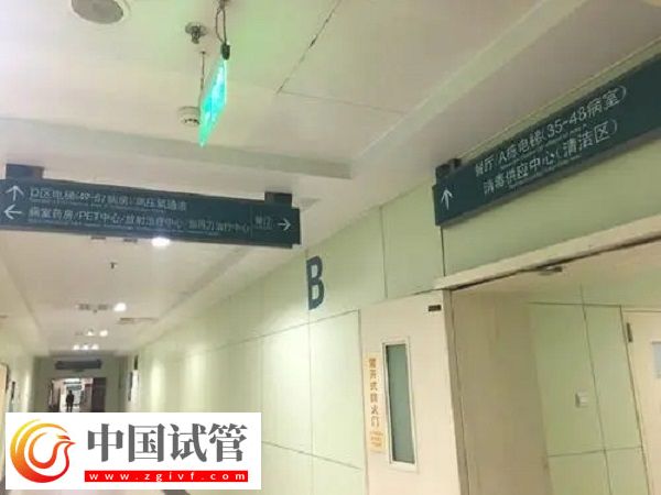加拿大供卵是否违法(图2)