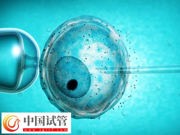 加拿大试管一个治疗周期是多久(图1)