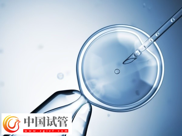 加拿大试管一个治疗周期是多久(图2)