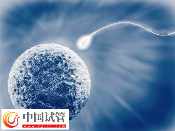 在武汉协和医院申请供精能做几次