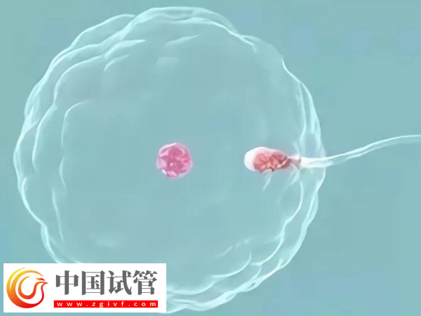 高龄试管有什么风险(图1) 高龄试管有什么风险(图1)