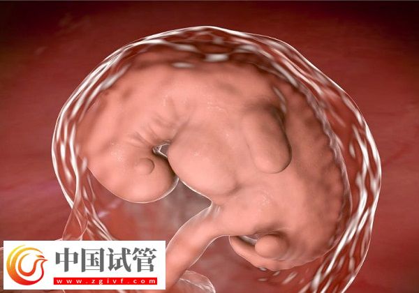 人授两次没成功还有无必要做第三次(图1) 人授两次没成功还有无必要做第三次(图1)