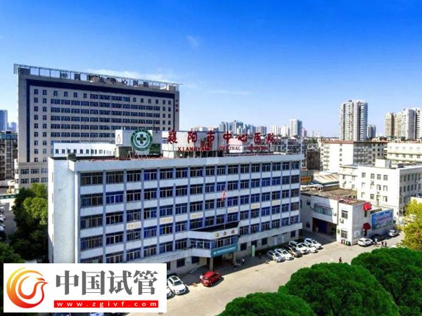 襄阳市中心医院试管男还是女多