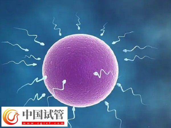 实施试管怀孕4个月稳不稳定(图2) 实施试管怀孕4个月稳不稳定(图2)