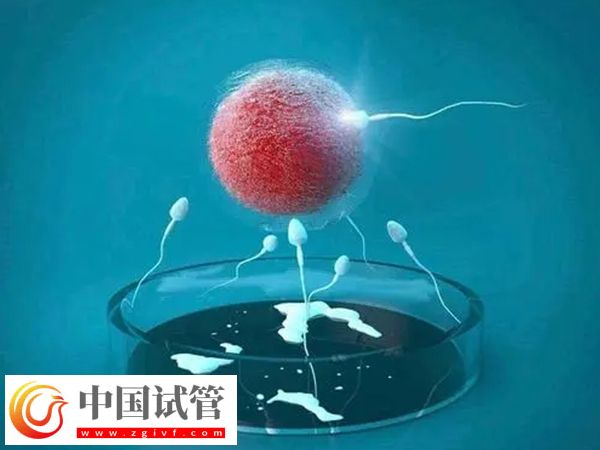 银川附属医院和妇幼保健院做试管哪家好