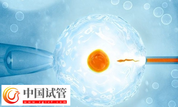 杭州医保试管是否报销