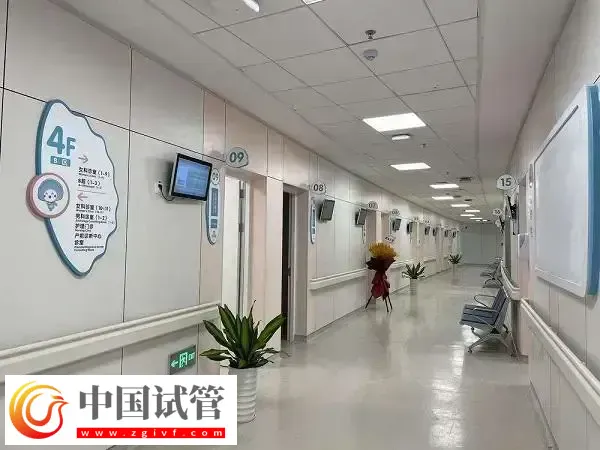杭州省妇保医院和市一医院做试管哪个好(图4)