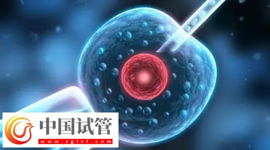 广州哪家做试管婴儿可以包怀上的？首选中山大学附属第一医院