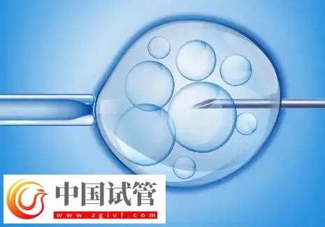 济南2025试管助孕代/怀产子机构名单，附流程与费用介绍