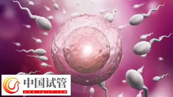 深圳试管助孕怎么样，附费用，流程，机构等信息一览