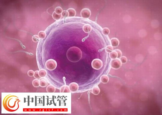 广西三代试管助孕生孩子费用清单公布：最低九万起