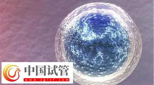 郑州做试管比较出名的医院前三名，附三代包生男孩费用介绍
