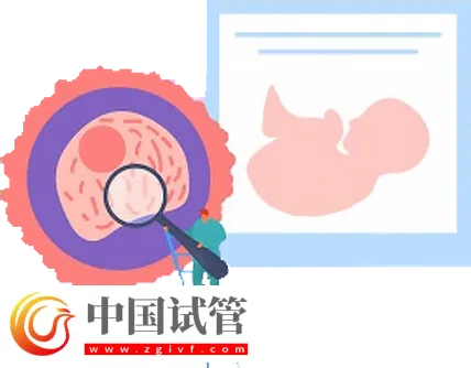 北京试管助孕大概要多少钱？这是新收费标准(图2)