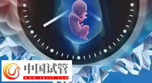 重庆助孕机构名单汇总，附联系方式与三代包生男孩费用清单