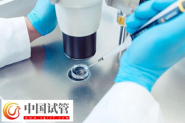 做试管取卵后还要做什么(图1)