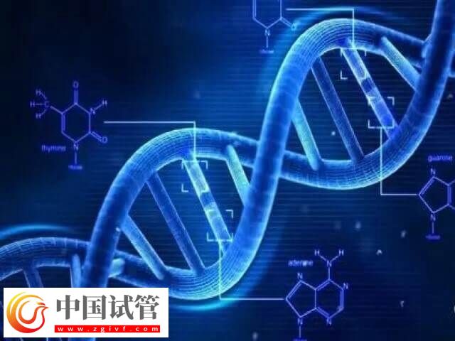 三代试管适合什么人(图2)