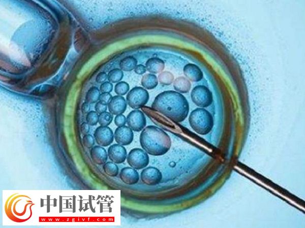前往长沙做三代试管生孩子多少钱