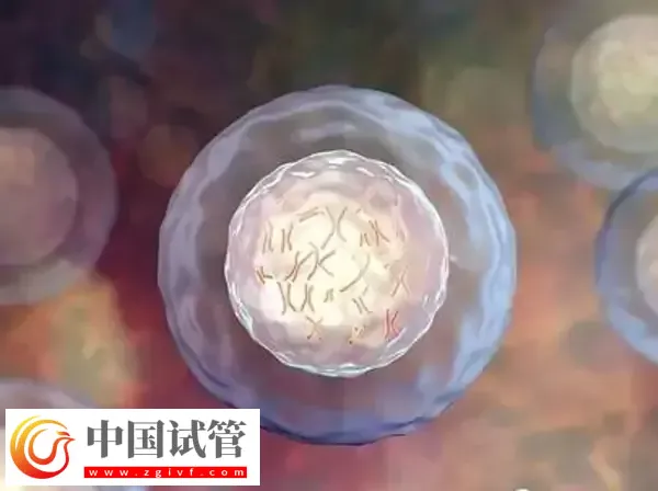 为什么俄罗斯试管成功率那么高