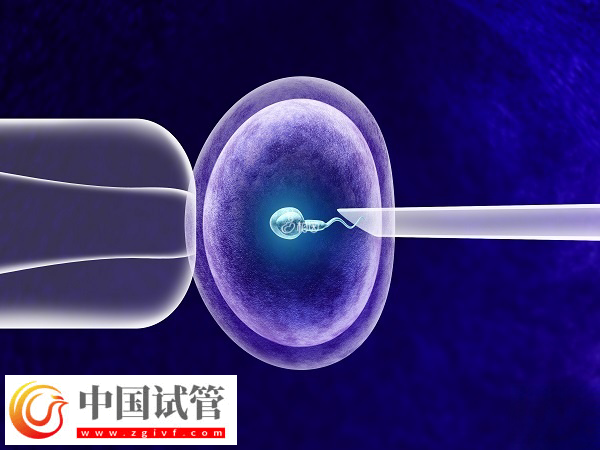 乌克兰做试管怎么防止被骗(图2)