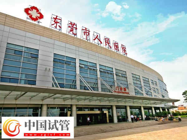 在东莞人民医院做试管成功率高不高