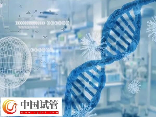cep290基因突变做试管有没有用(图2) cep290基因突变做试管有没有用(图2)