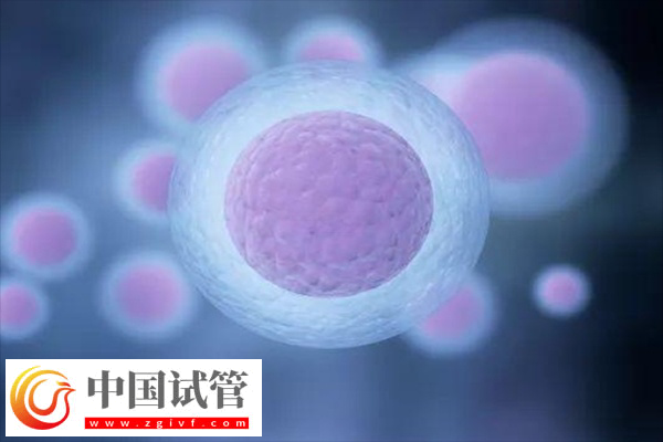 浙大一院试管婴儿好不好(图2) 浙大一院试管婴儿好不好(图2)