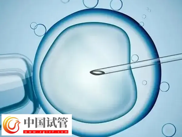 去泰国做试管有没有受骗的(图2)