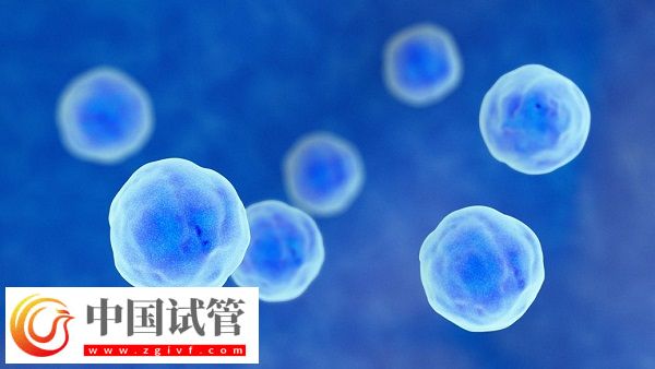 去泰国做试管有没有受骗的