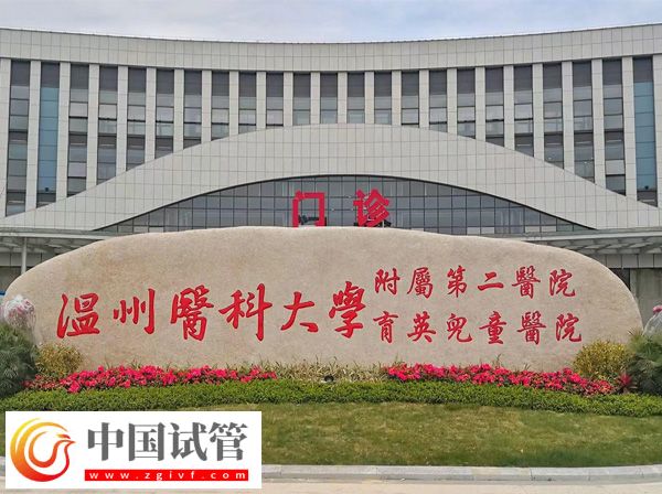 浙江温州附二医试管好不好