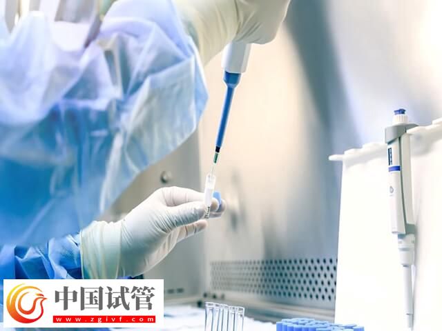 取卵后一个月卵巢是否恢复了(图1) 取卵后一个月卵巢是否恢复了(图1)