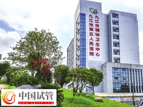 九江市第五人民医院试管婴儿囊胚移植成功率有多高？
