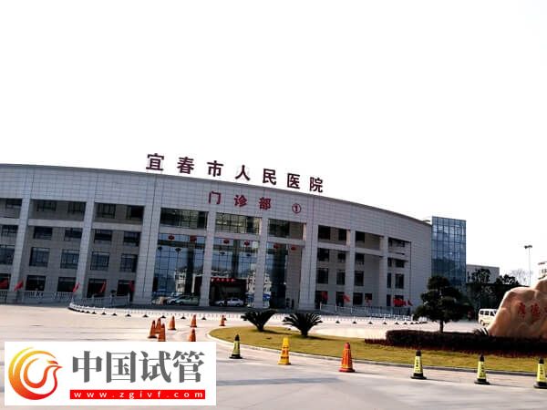 在宜春市人民医院做一代试管婴儿单周期费用多少？