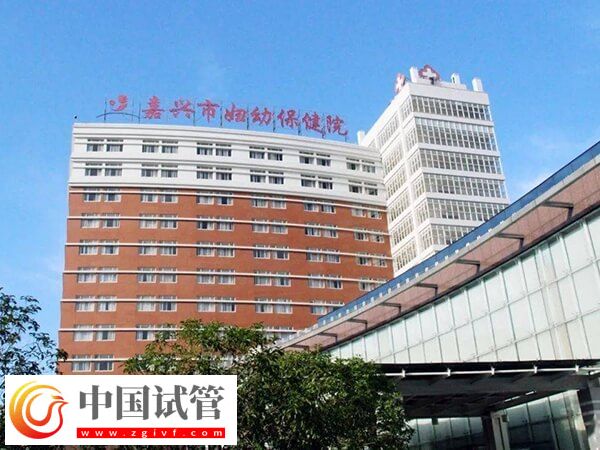 嘉兴市妇幼保健院做试管婴儿单囊胚移植成功率有多高？