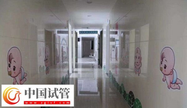 湖州试管婴儿医院成功率排名比较好的有哪些？