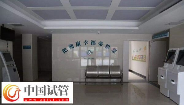 湖州市妇幼保健院可以做供卵试管婴儿吗？