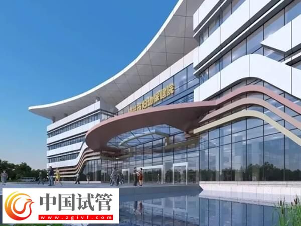 在绍兴公立医院做一次试管婴儿要多少钱？