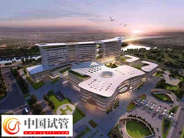 绍兴哪家正规公立医院能做三代试管婴儿？