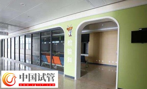 衢州妇保院陈洁瑛和方玉医生哪个助孕成功率更高？