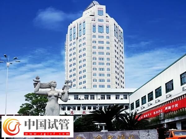 台州正规公立医院做试管婴儿费用能走医保进行报销吗？