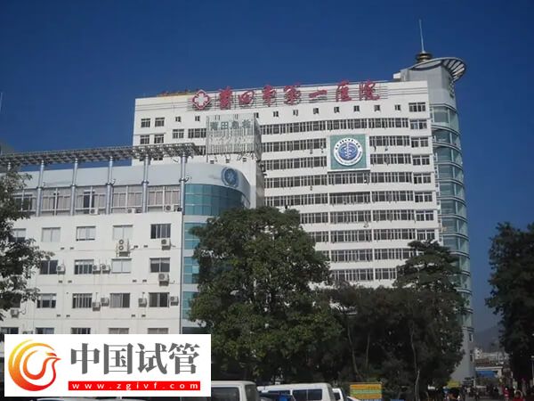 有在莆田市第一医院做过试管婴儿的吗？花了多少钱？