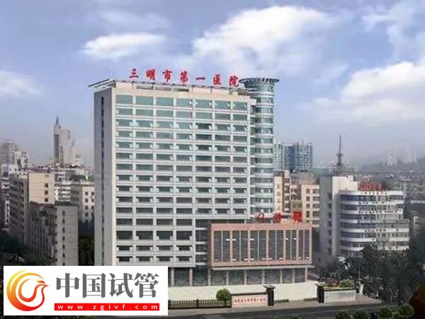 三明第一医院生殖科黄新琳医生助孕技术怎么样？