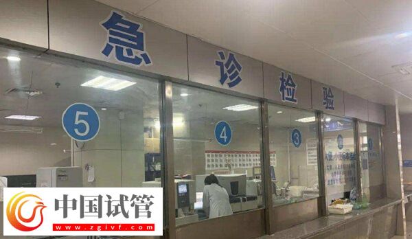 宿州做试管婴儿选煤电总医院和市第一人民医院哪个好？
