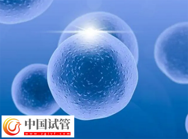 北京试管医院有哪些